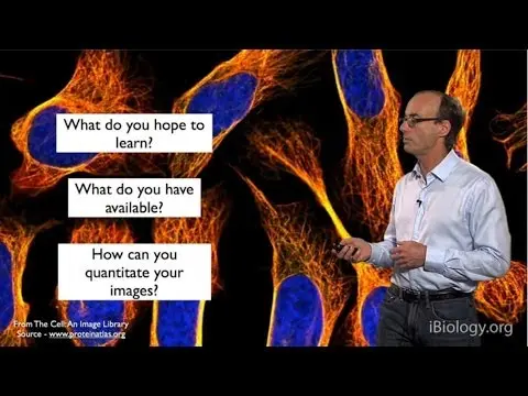 How to Choose the Best Microscopy Technique thumbnail