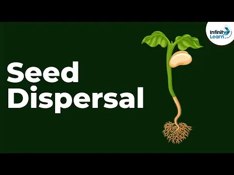 Seed Dispersal | Reproduction in Plants | Don't Memorise thumbnail