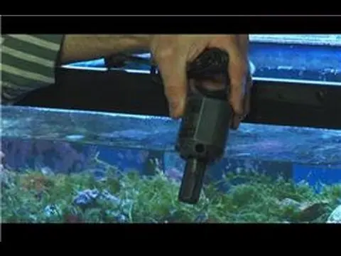 Saltwater Fish Tanks : Saltwater Fish Tank Pumps thumbnail