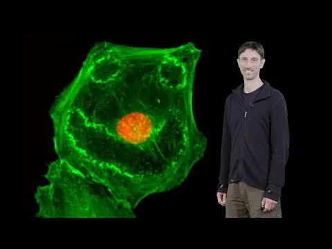 What Is Bioimage Analysis in Microscopy? thumbnail