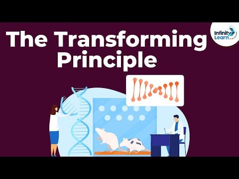 Genetics - The Transforming Principle - Lesson 12 | Don't Memorise thumbnail
