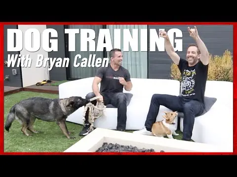 Dog Training with Bryan Callen and Nate Schoemer thumbnail