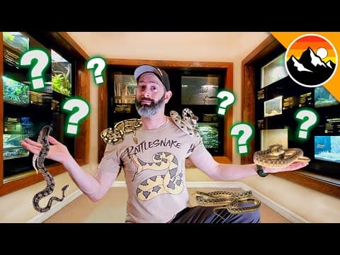 SNAKE CHALLENGE - Which one is Deadliest?! thumbnail