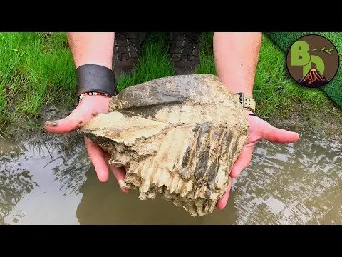 Did We Find a MAMMOTH TOOTH?! thumbnail