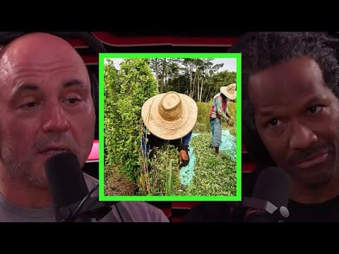 The History of Cocaine and Why It's Illegal with Dr. Carl Hart thumbnail