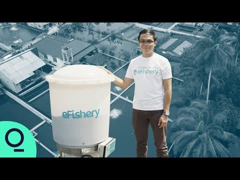 The Indonesian App That Can Grow More Fish thumbnail