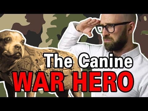 The Most Decorated Dog of WWI thumbnail