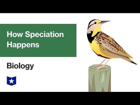 How Speciation Happens | Biology thumbnail
