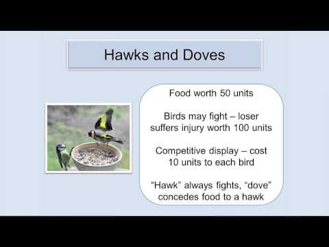What Does the Prisoner's Dilemma Teach Us About Cooperation? thumbnail
