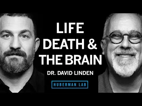 Dr. David Linden: Life, Death & the Neuroscience of Your Unique Experience | Huberman Lab Podcast thumbnail