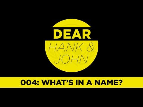 How Do Names, Bees, Science, and Choices Shape Us? thumbnail