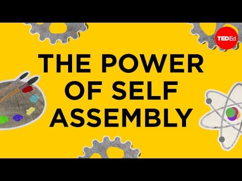 Self-assembly: The power of organizing the unorganized - Skylar Tibbits thumbnail