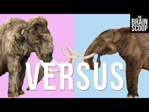 Mammoths vs. Mastodons: Can we 'de-extinct' them both? thumbnail