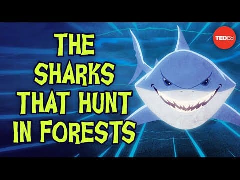 The sharks that hunt in forests - Luka Seamus Wright thumbnail