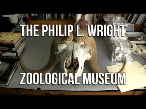 The Philip L. Wright Zoological Museum thumbnail