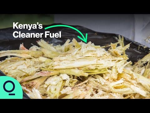 How Can Bioethanol Replace Charcoal in Africa? thumbnail