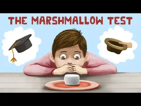 The Marshmallow Test (Stanford Experiment + Truth) thumbnail