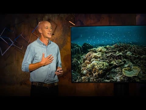 How Can Fishing Villages Lead to Marine Conservation Success? thumbnail