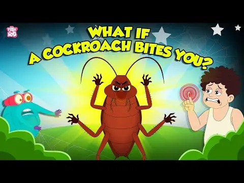 Are Cockroaches Dangerous? | What if a Cockroach Bites You? | Deadliest Insects | Dr. Binocs Show thumbnail