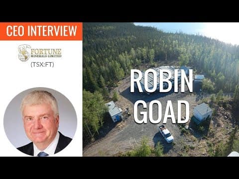 Fortune Minerals CEO: We'll be producing battery-grade cobalt sulphate for batteries thumbnail