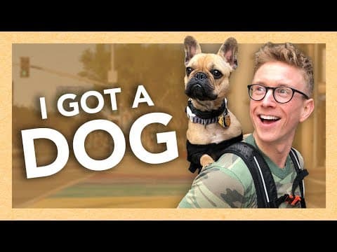 Becoming a Dog Dad for a Day thumbnail