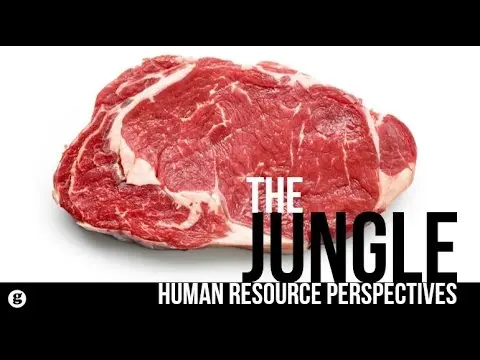 What Lessons Does The Jungle Teach About HR Management? thumbnail