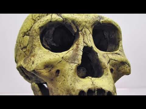 What Unusual Scientific Discoveries Were Made in September 2023? thumbnail