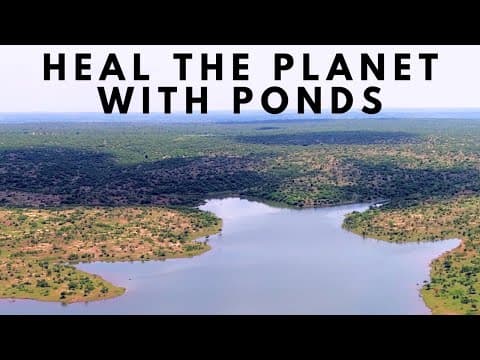 Heal the Planet with PONDS thumbnail