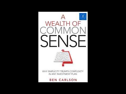 A Wealth of Common Sense book summary thumbnail
