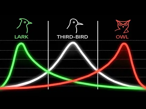 Know Your Chronotype. It'll Change Your Life. thumbnail