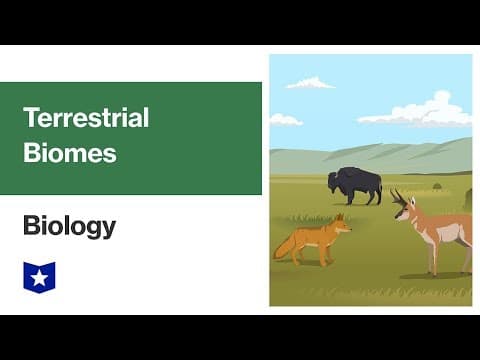 Terrestrial Biomes and Ecosystems | Biology thumbnail
