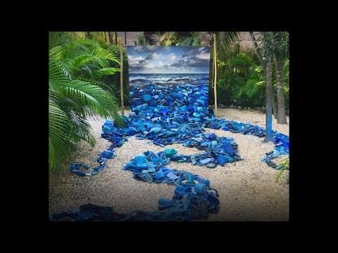 How I use art to tackle plastic pollution in our oceans | Alejandro Durán thumbnail