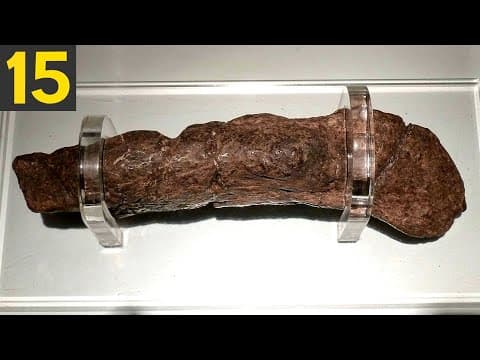 15 Strangest Things Ever Discovered thumbnail