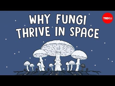 How Can Fungi Help Us Build Habitats in Space? thumbnail