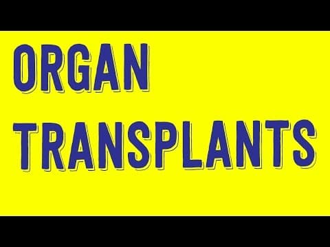 Should Smokers Get Lung Transplants? - Philosophy Tube thumbnail