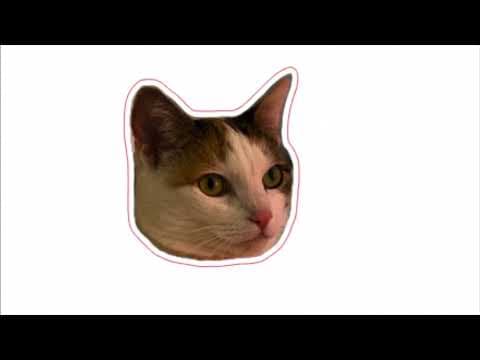 How to Make Stickers with a Silhouette Cameo Machine thumbnail