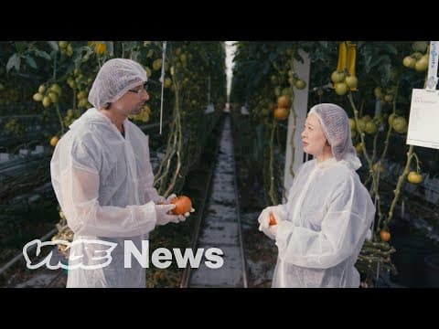 The Scientists Creating the Foods of the Future | Vice News thumbnail