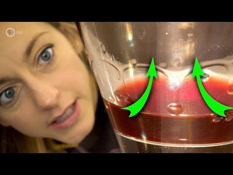 What Causes Wine Tears on Glass and What Do They Mean? thumbnail