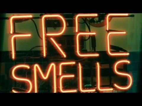 What Kind of Pheromones might Humans Have? - Dr Tristram Wyatt thumbnail