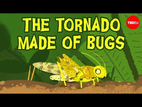 What Causes Desert Locusts to Transform into Plagues? thumbnail