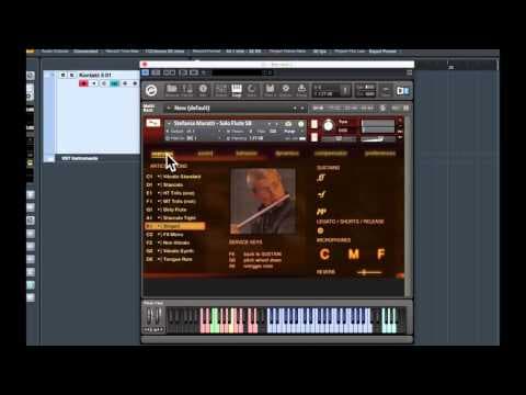 Stefania Maratti Solo Flute by Fluffy Audio - Review thumbnail