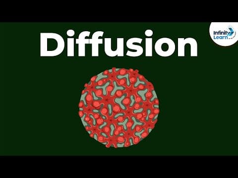 Cell - Diffusion | Don't Memorise thumbnail
