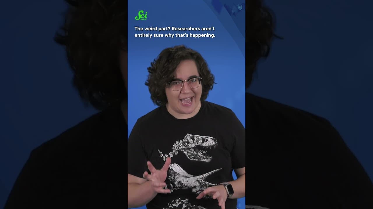 YouTube video player
