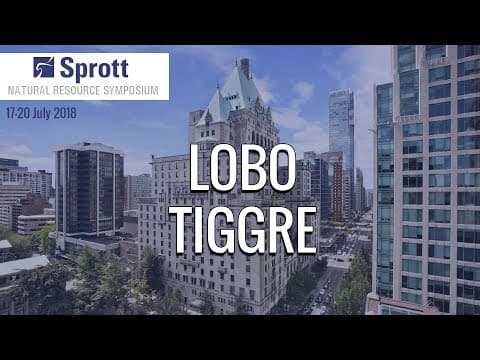 Lobo Tiggre: The Next Bull Market Will be One for the Record Books thumbnail