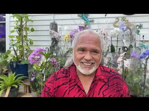 FRANK26…..9-25-25…..AMENDMENT thumbnail
