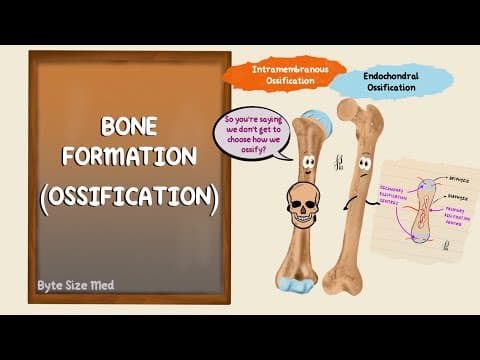 Ossification | Bone Formation | Histogenesis of Bone | Bone Histology | Embryology of the Skeleton thumbnail