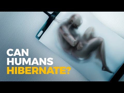The Insane Evolution of: Hibernation thumbnail