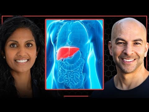 The crucial functionality of the liver & its four most essential functions | Julia Wattacheril thumbnail