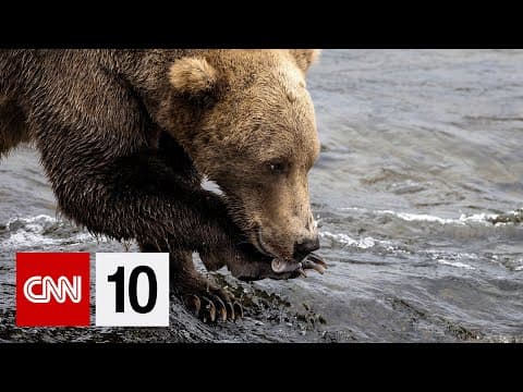 The return of "Fat Bear Week" | September 26, 2025 thumbnail