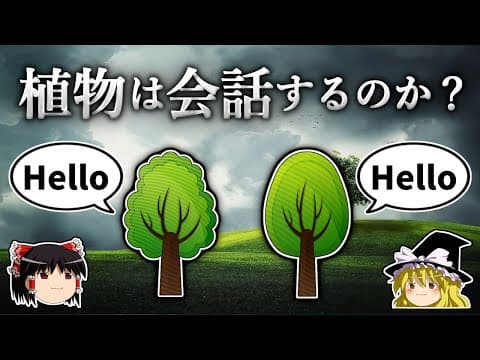 植物は音楽を聴くと元気になるのか? thumbnail